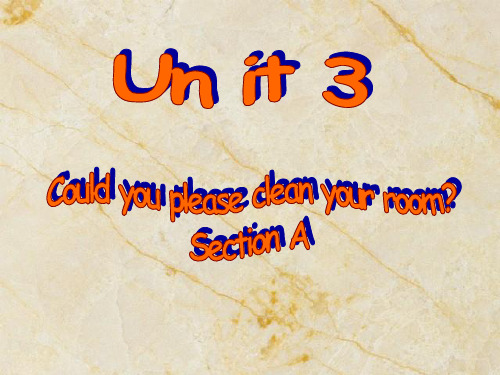 Unit3_Could_you_please_clean_your_room？2d-Grammar focus