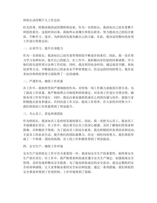 班组长试用期个人工作总结