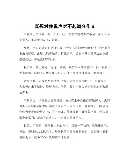 真想对你说声对不起满分作文