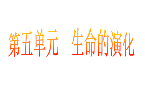 最新济南版初中生物八年级下册《5生命的演化教材分析课件 济南版