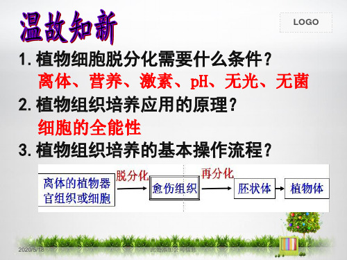 2-2-1 动物细胞培养和核移植技术