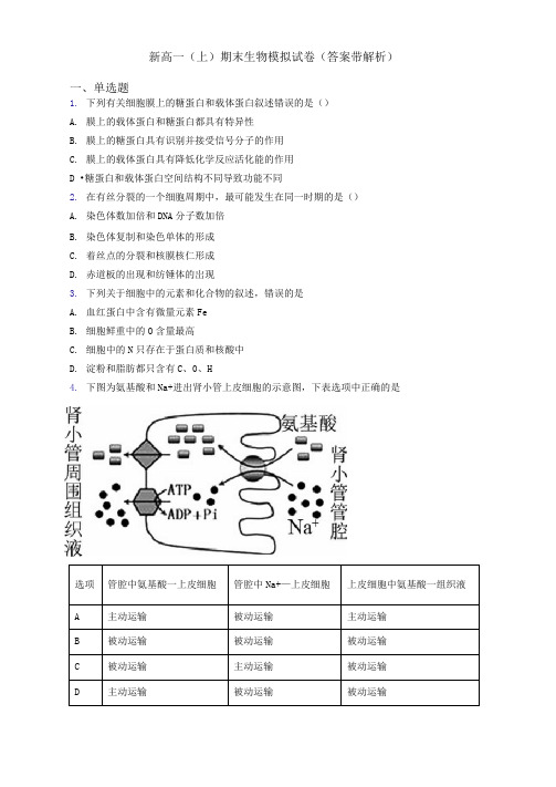 新高一(上)期末生物模拟试卷(答案带解析)