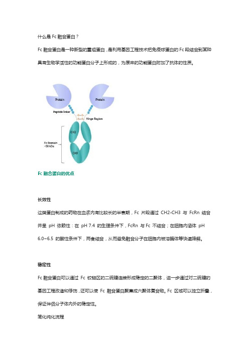 Fc融合蛋白