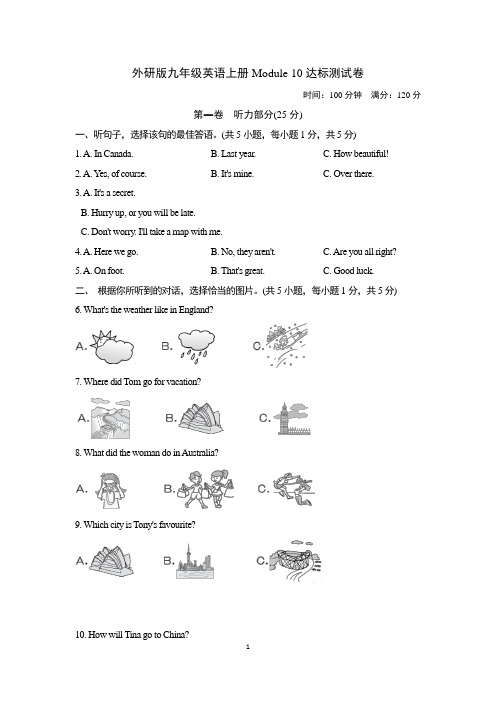 外研版九年级英语上册Module 10达标测试卷含答案