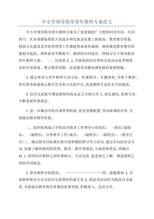 中小学领导指导青年教师方案范文