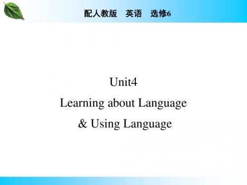 人教版高中英语选修6 Unit4 Using language 知识点课件