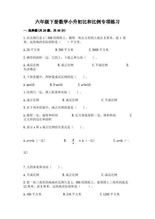 六年级下册数学小升初比和比例专项练习附完整答案(名师系列)