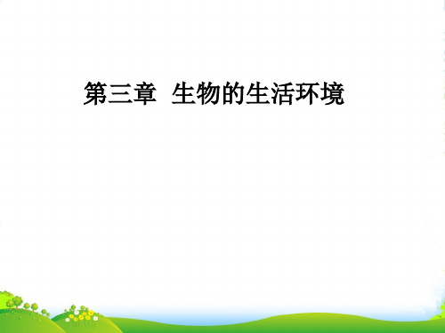 山东省宁津县育新中学七年级生物上册《第三章生物的生活环境》课件 济南版