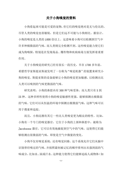 关于小狗嗅觉的资料