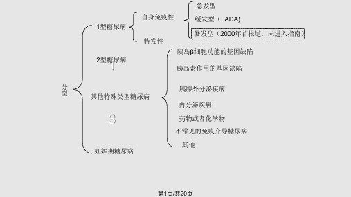 糖尿病分型PPT课件