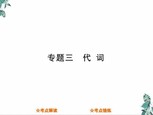 专题三代词(新)中考英语总复习公开课PPT(33张)