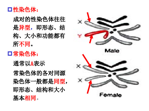 连锁交换与性连锁