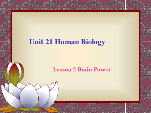 英语：选修7 Unit21 Human Biology-Lesson2 Brain Power课件1(北师大版)