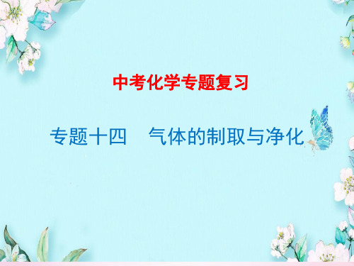 初中化学专题复习十四--气体的制取与净化