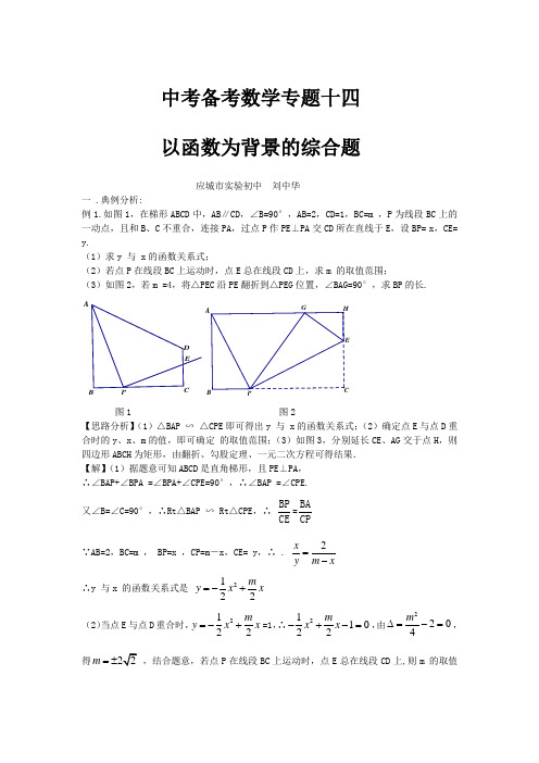 中考数学复习专题