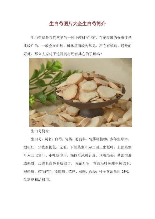 生白芍图片大全 生白芍简介