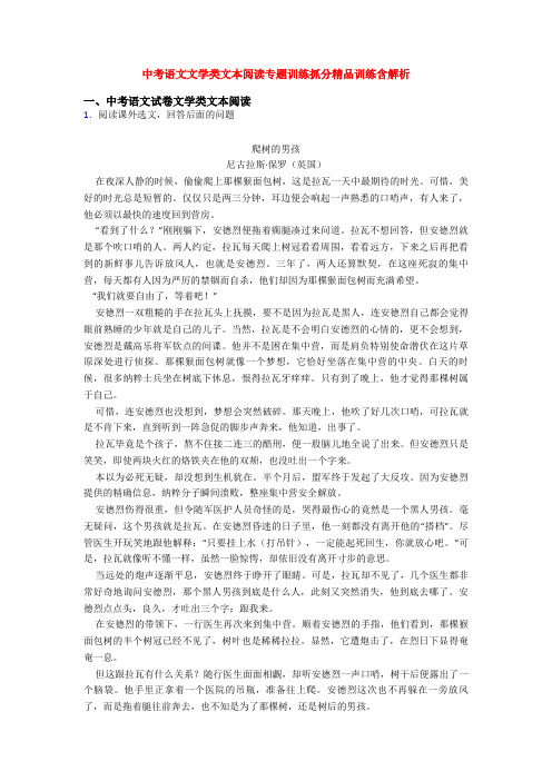 中考语文文学类文本阅读专题训练抓分精品训练含解析