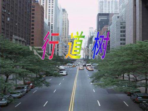 7《短文两篇》张晓风 周素姗