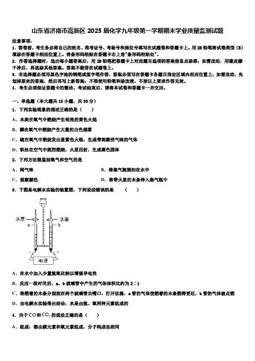 山东省济南市高新区2025届化学九年级第一学期期末学业质量监测试题含解析