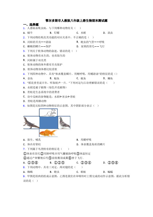 鄂尔多斯市人教版八年级上册生物期末测试题