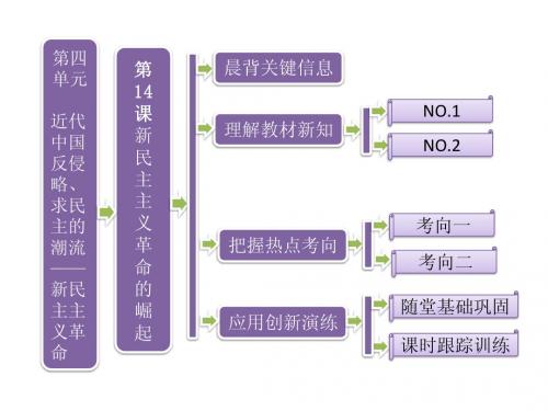 第14课 新民主主义革命的崛起 课件(人教版必修一)