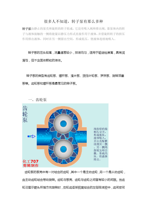 ,转子泵有那么多种