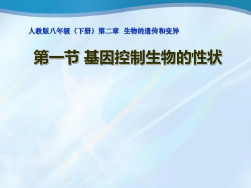 《基因控制生物的性状》生物的遗传和变异PPT课件5