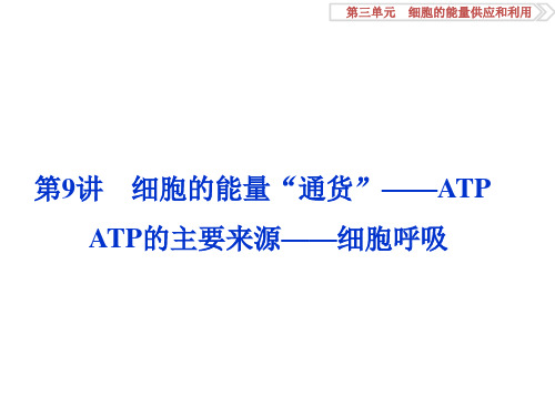 高考生物大一轮复习 第三单元 细胞的能量供应和利用 第9讲 细胞的能量“通货”ATP ATP的主要来