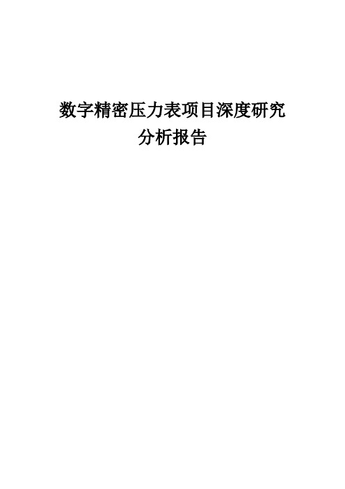 2024年数字精密压力表项目深度研究分析报告