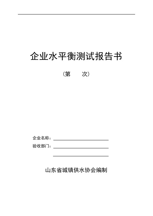 企业水平衡测试报告书(2009省厅)