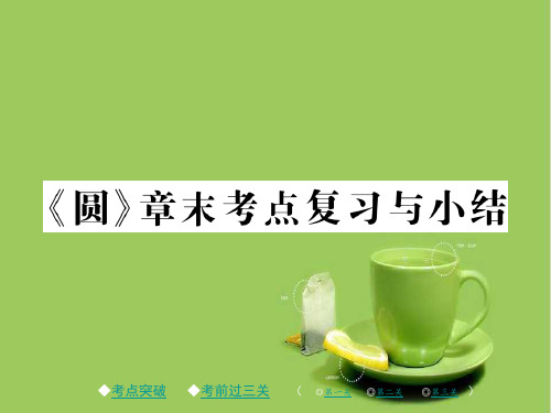 九年级数学下册第三章圆章末考点复习与小结习题8