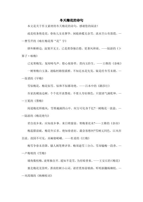 冬天梅花的诗句_作文素材