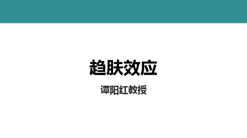 12-趋肤效应PDF