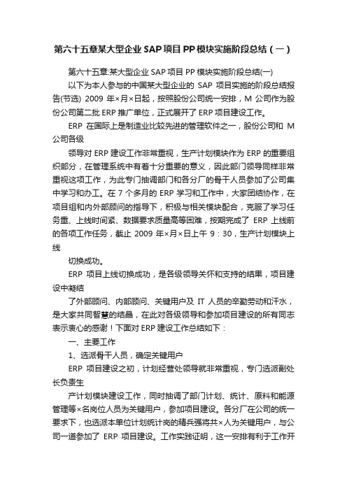 第六十五章某大型企业SAP项目PP模块实施阶段总结（一）