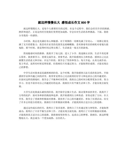 就这样慢慢长大 感悟成长作文800字