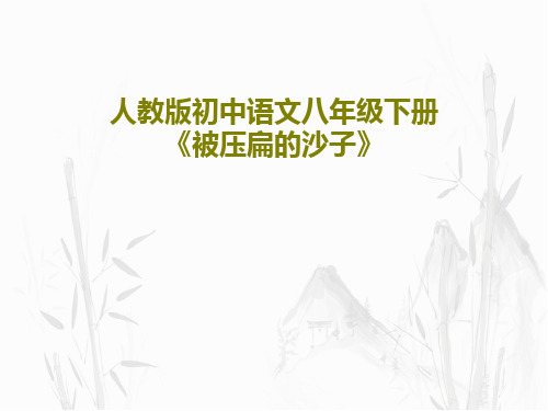 人教版初中语文八年级下册《被压扁的沙子》40页PPT