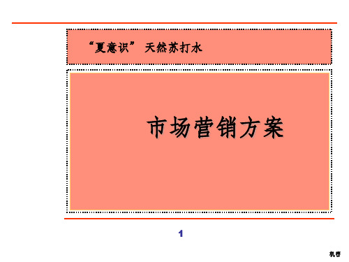 天然苏打水新产品营销全案ppt课件