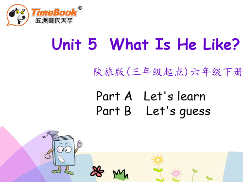 陕西旅游版六年级英语下册Unit 5 What Is He Like课件优秀版