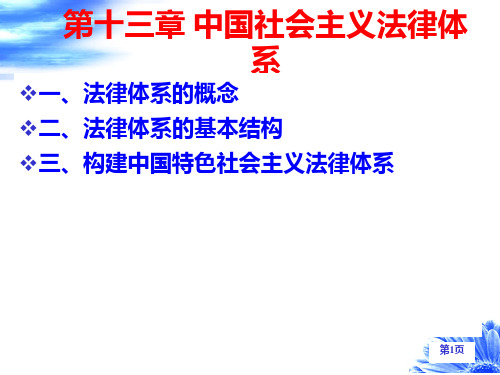 第十三章 中国社会主义法律体系