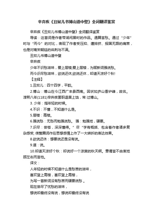 辛弃疾《丑奴儿书博山道中壁》全词翻译鉴赏