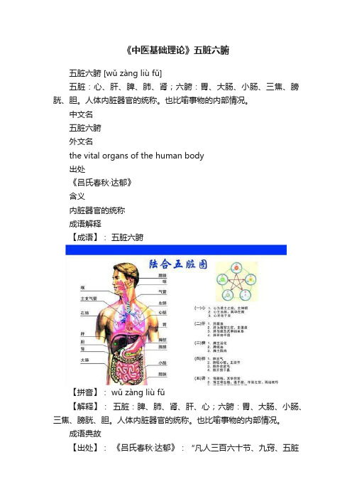 《中医基础理论》五脏六腑