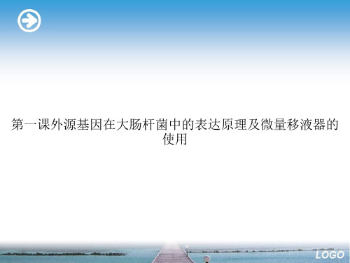 第一课外源基因在大肠杆菌中的表达原理及微量移液器的使用演示文档