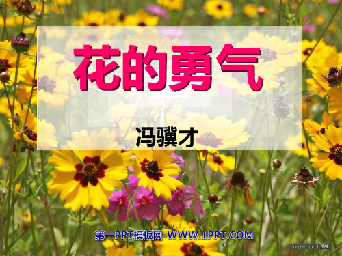 《花的勇气》-四年级下册语文PPT课件