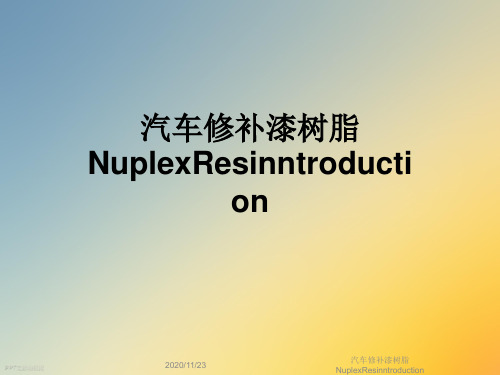 汽车修补漆树脂NuplexResinntroduction