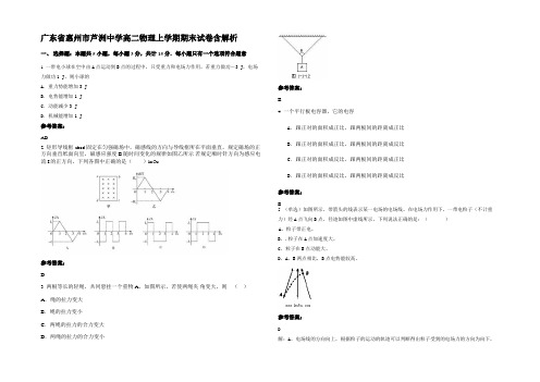 广东省惠州市芦洲中学高二物理上学期期末试卷带解析