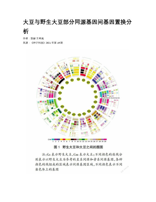 大豆与野生大豆部分同源基因间基因置换分析