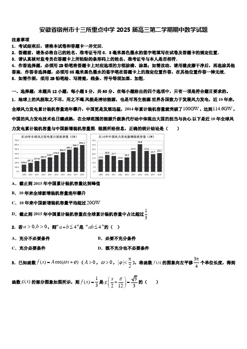 安徽省宿州市十三所重点中学2025届高三第二学期期中数学试题