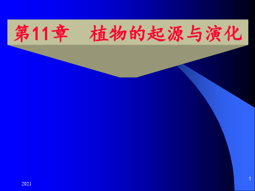 植物的起源与演化PPT课件