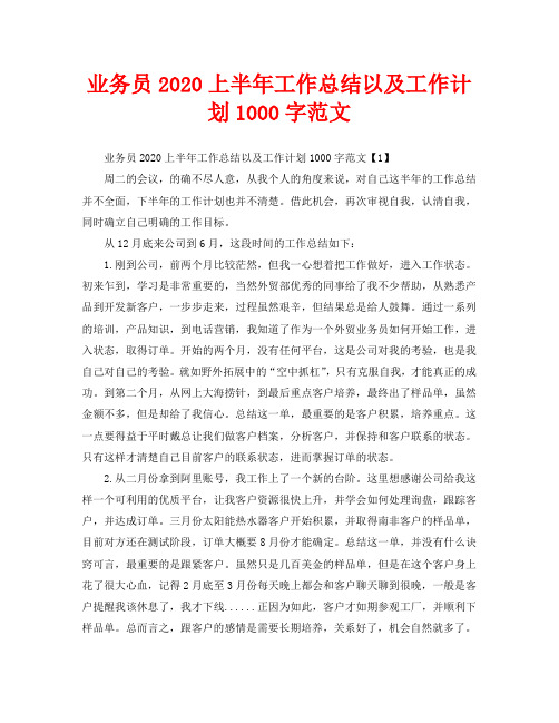 2020年工作总结-业务员2020上半年工作总结以及工作计划1000字范文