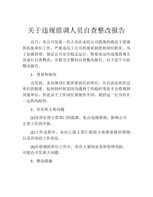 关于违规借调人员自查整改报告